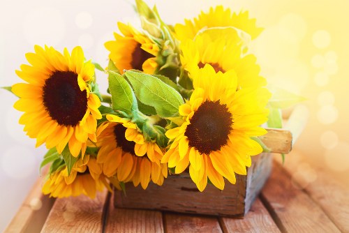 Florist arranging vibrant flowers for delivery